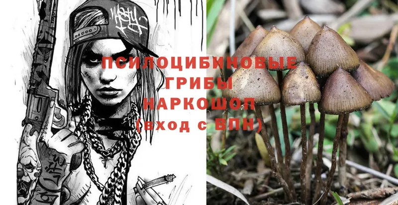 мориарти как зайти  Бакал  Галлюциногенные грибы Magic Shrooms 